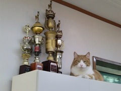______cimg0772