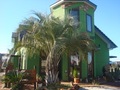 Calmhairdsc00701