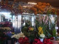 ______dsc00690